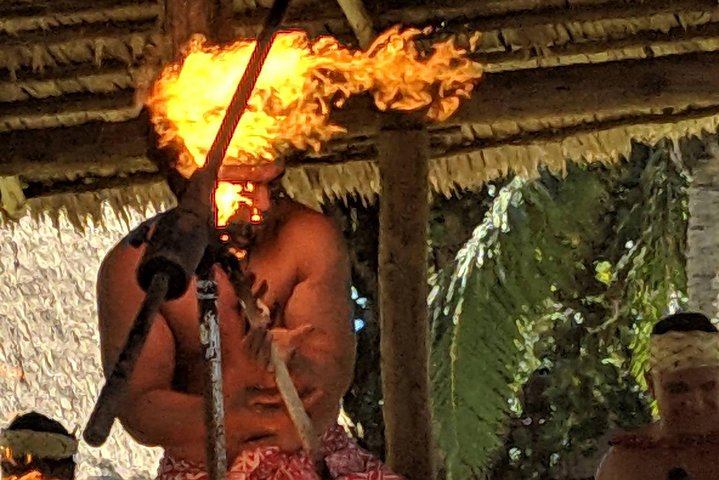 Pearl Harbor, Dole Plantation, Polynesian Center from Waikiki  - Image 4