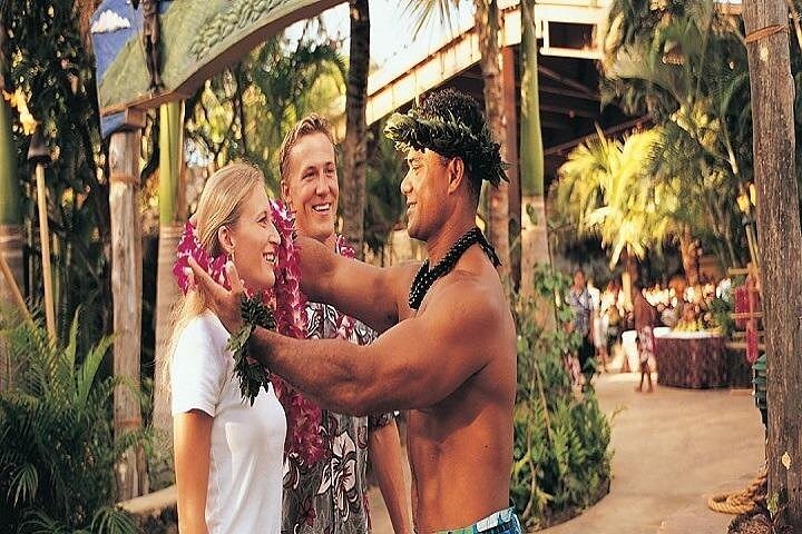 Pearl Harbor, Dole Plantation, Polynesian Center from Waikiki  - Image 5