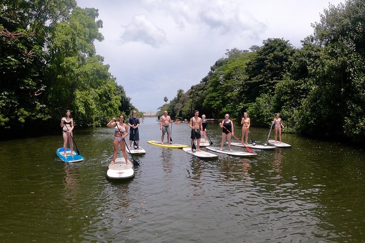 Personalized Private Tour of O'ahu - Image 1