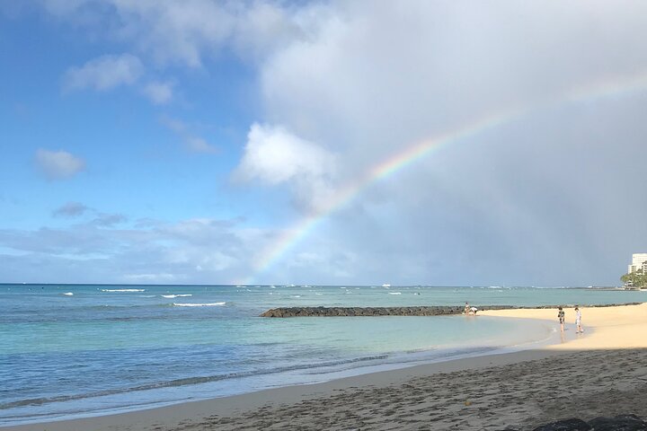Private Circle Island Adventure-Full Day up to 12 people (Se habla Español) - Image 5