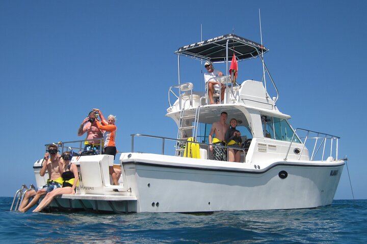 Private Oahu 3+hr Guided Swim with Whale, Dolphin, Turtle Trek  - Image 5