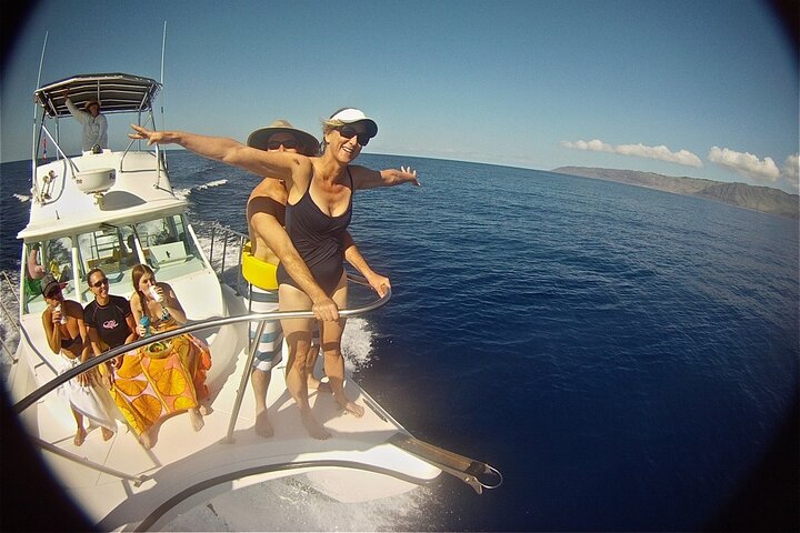 Private Oahu 3+hr Guided Swim with Whale, Dolphin, Turtle Trek  - Image 1