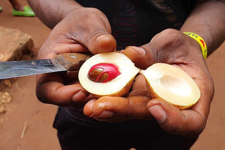 Private Spice Tour in Zanzibar with Pick Up - Image 4