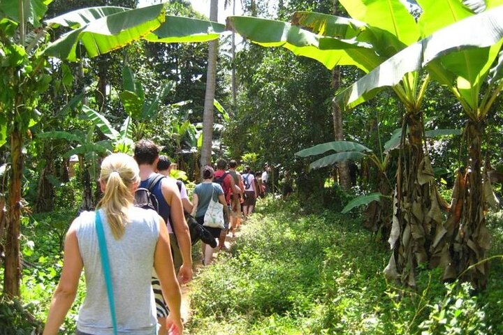 Private Spice Tour in Zanzibar with Pick Up - Image 5