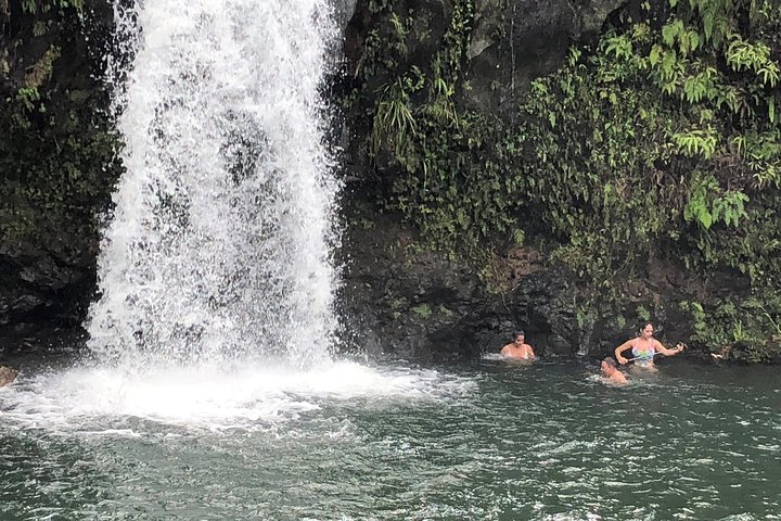 Private Tours : OAHU,MAUI, KAUAI or BIG ISLAND : Pick any Island  - Image 1