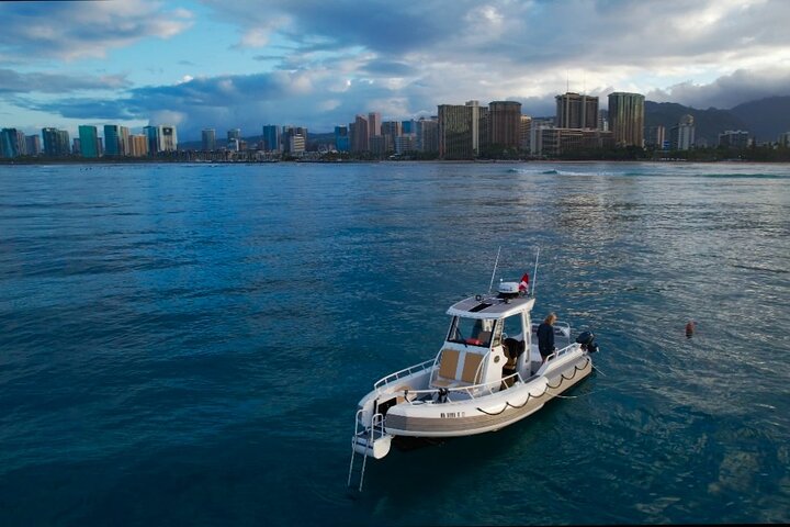 Private Turtle Snorkel Tour from Waikiki - Image 4