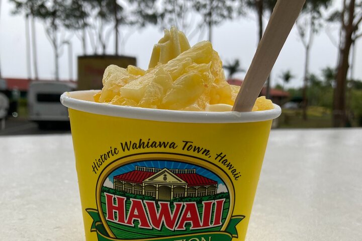 Private VIP Limousine Tour "Dole Plantation" & the "North Shore" - Image 2