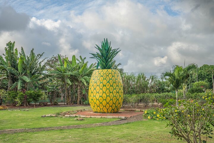 Private VIP Limousine Tour "Dole Plantation" & the "North Shore" - Image 3