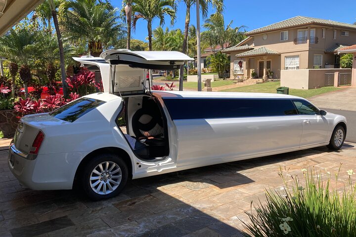 Private VIP Limousine Tour "Dole Plantation" & the "North Shore" - Image 5
