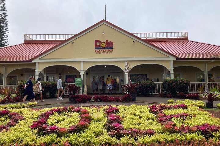 Private VIP Limousine Tour "Dole Plantation" & the "North Shore" - Image 1