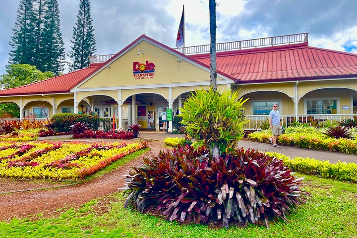 Roundtrip Shuttle From Waikiki to Dole Plantation & Haleiwa Town  - Image 2