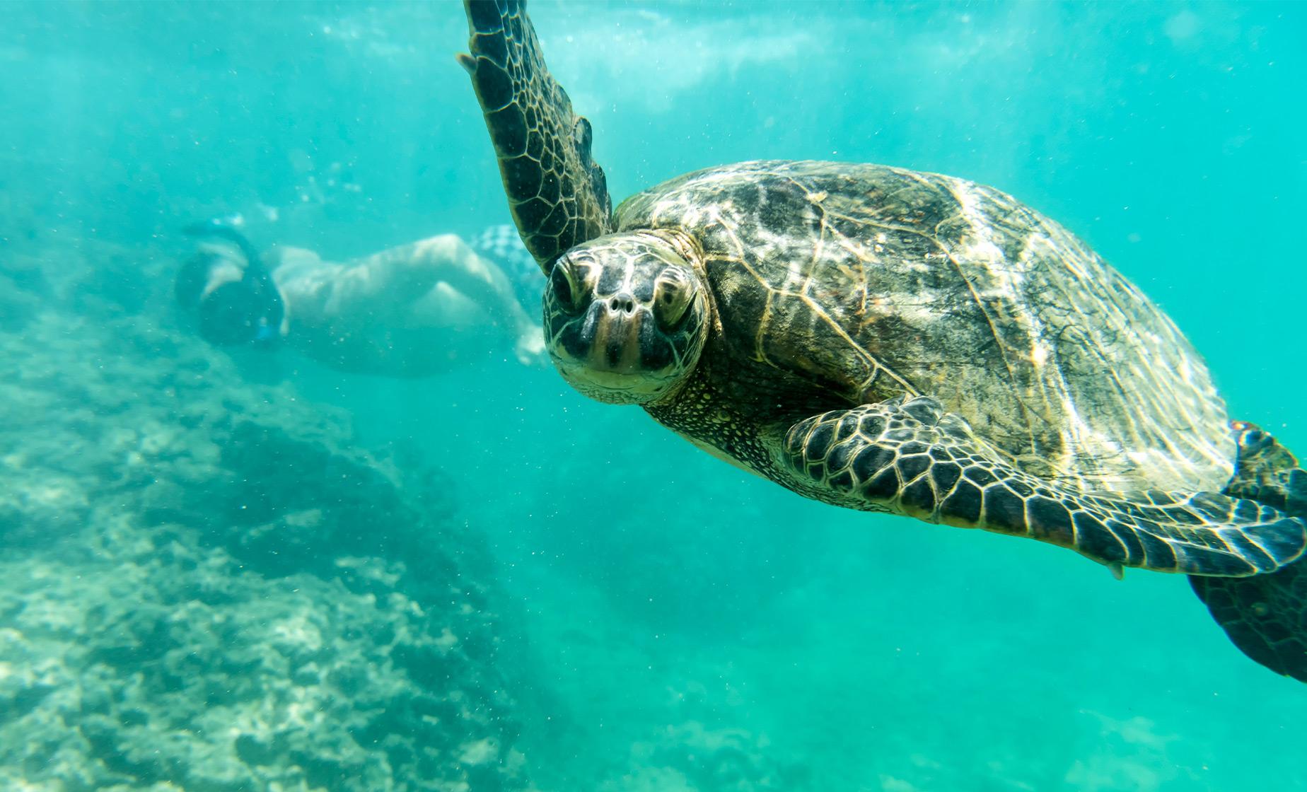 Sail and Snorkel Adventure - Image 1