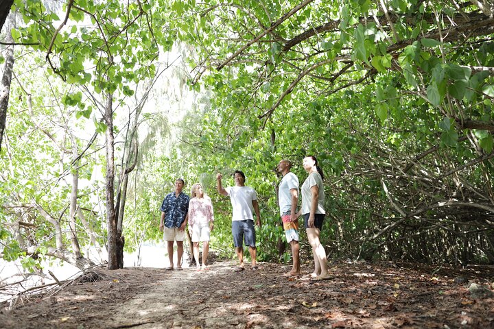 Secret Oahu Full Circle Island Tour With A Local Guide - Image 4