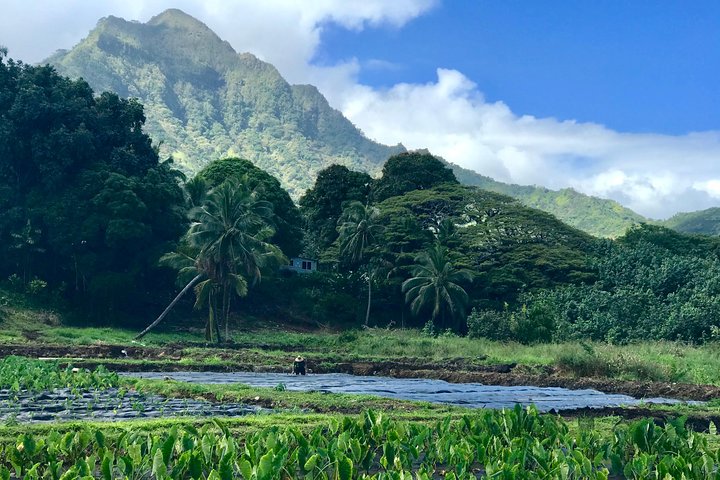 Your Private Community Tours - Image 1