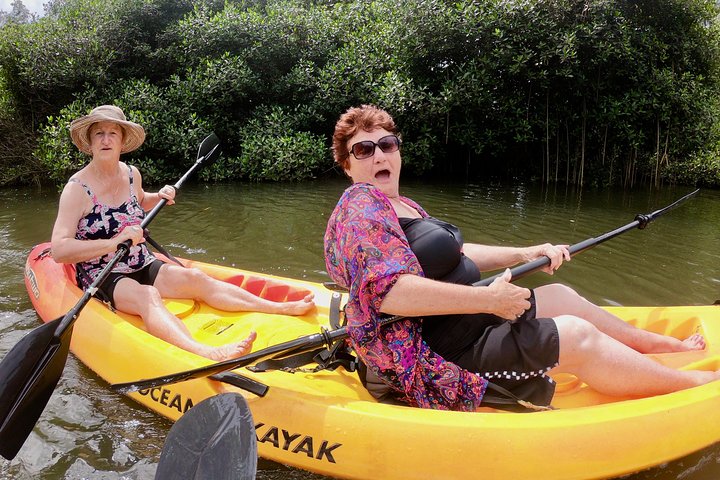 Your Private North Shore Tours - Image 5