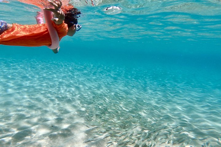 Your Private North Shore Tours - Image 2