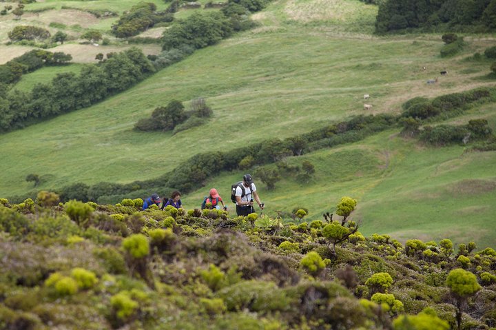 10 Volcanos hiking private tour in Faial - Image 1