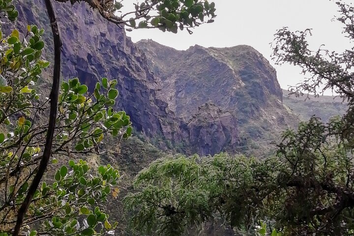 Descent to Caldeira do Faial - The Perfect Adventure - Image 5