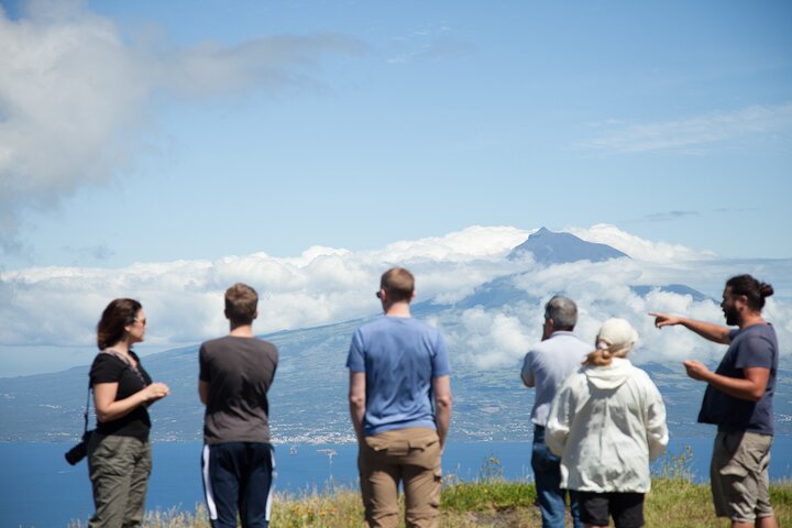 Full Day Private Trip Faial - Image 1