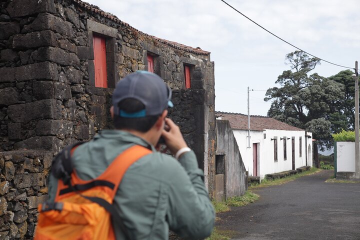 Full Day Private Trip Faial - Image 5