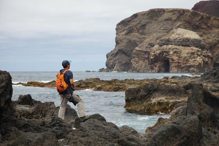 Full Day Private Trip Faial - Image 3