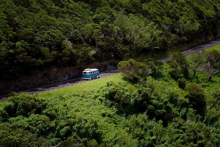 Half-Day VW Samba Private Bus Tour around Faial Island - Image 4