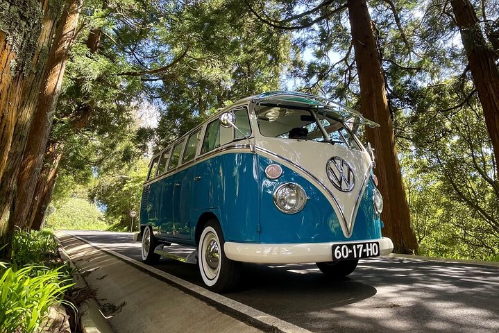 Half-Day VW Samba Private Bus Tour around Faial Island - Image 5