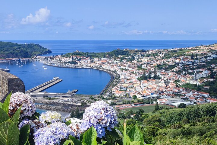 Private Full Day Tour - Faial Island (up to 8 people) - Image 1