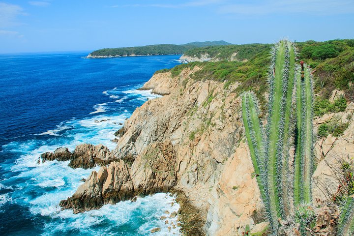 5-Bay Exclusive Premium Panga Experience - Image 2