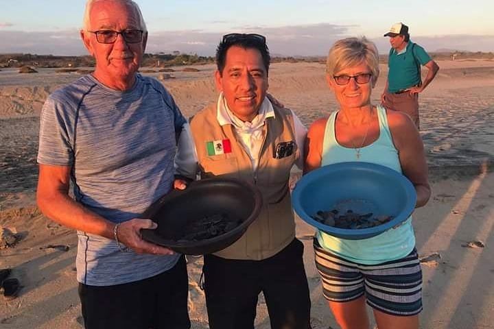 Amazing Turtle Release Tour - Image 4