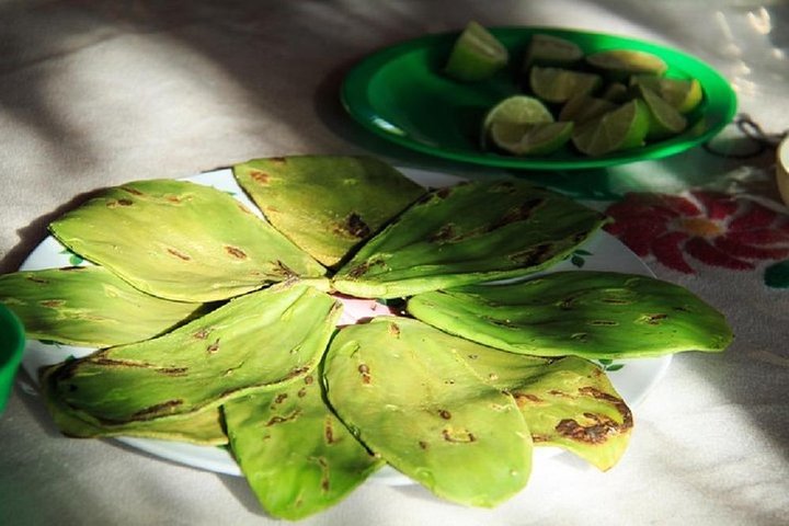 Authentic Rural Mexican Experience - Image 5
