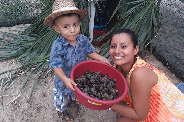 Baby Turtle Release in Coyote Escobilla Beach - Image 3