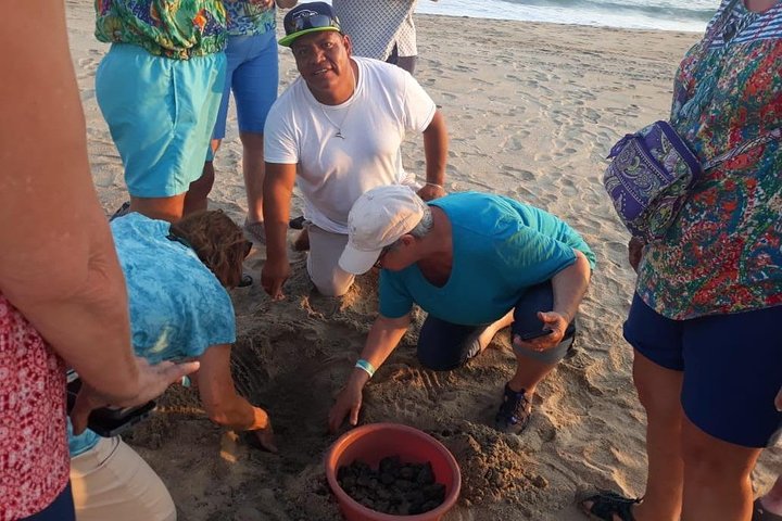 Baby Turtle Release in Coyote Escobilla Beach - Image 4