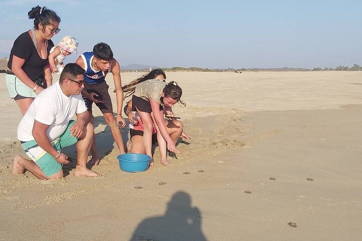 From Huatulco: Turtle Release & Bioluminescence - Image 5
