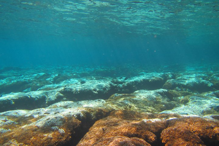Private. Snorkeling Experience from Huatulco HT - Image 2