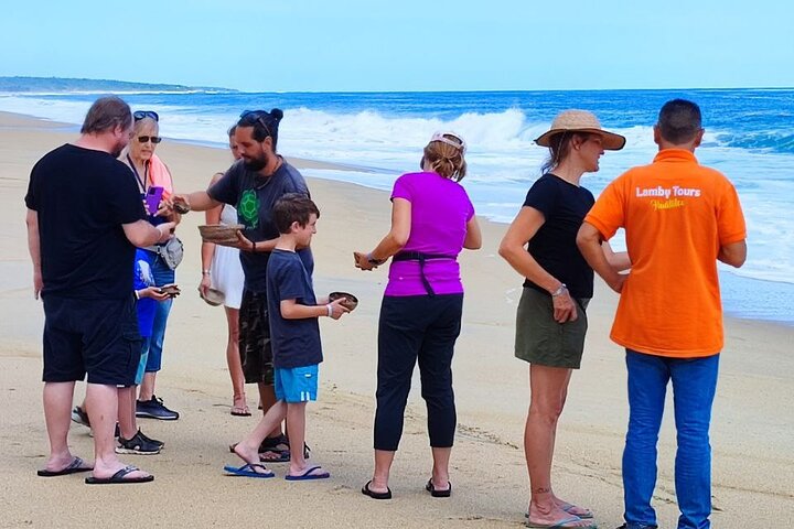 Private tour to release turtles with tickets included - Image 4