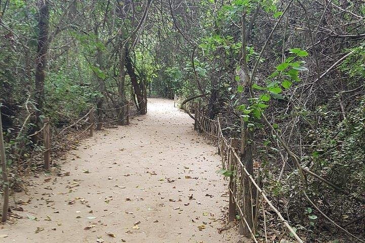 Private Walk To Snorkel Huatulco Ht - Image 3