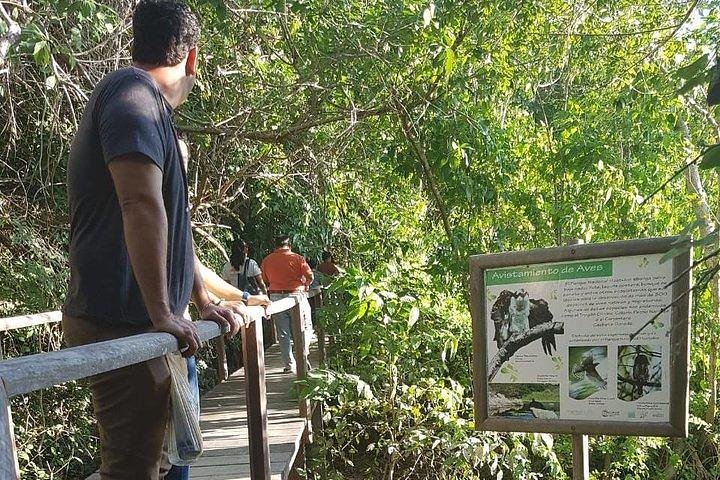 Private Walk To Snorkel Huatulco Ht - Image 4