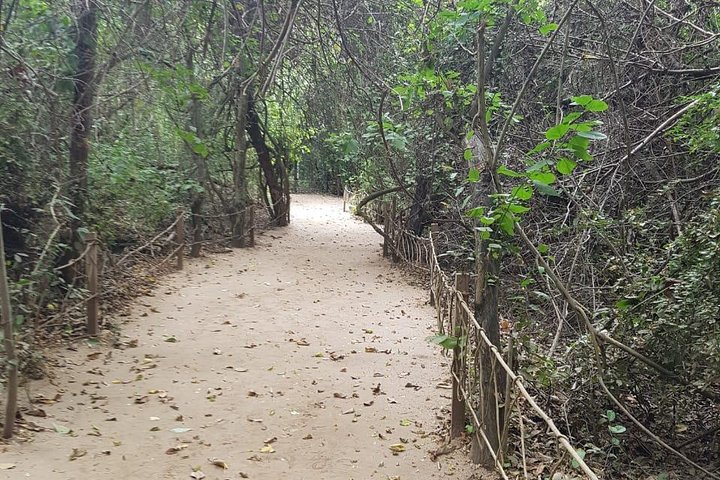 Walk And Snorkel In The National Park HT - Image 5