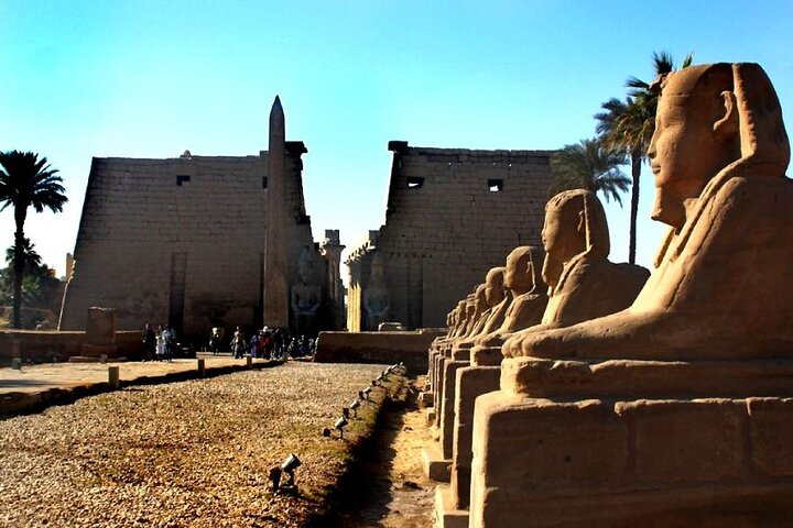 2-Day Private Tour in Safaga and Luxor  - Image 3