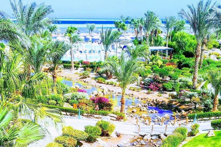 2 Diving stops at the most beautiful coral reefs Hurghada  - Image 2