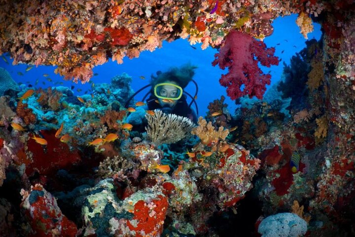 2 Diving stops at the most beautiful coral reefs Hurghada  - Image 1