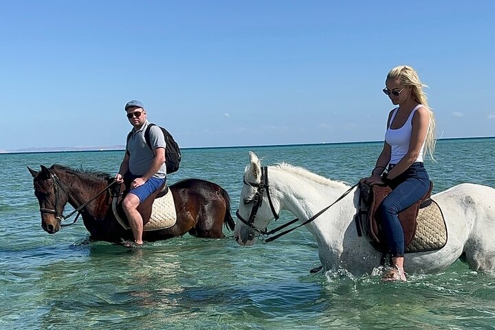 2 hours Horse riding or Camel riding at Hurghada - Image 3