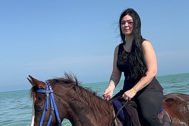 2 hours Horse riding or Camel riding at Hurghada - Image 1