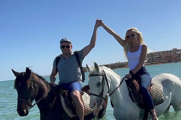 2 hours Horse riding or Camel riding at Hurghada - Image 2