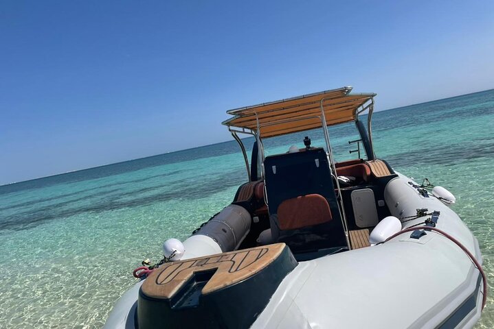 4-Hour Swim with Dolphins and Subwing Game in a Private Speedboat in Hurghada - Image 5