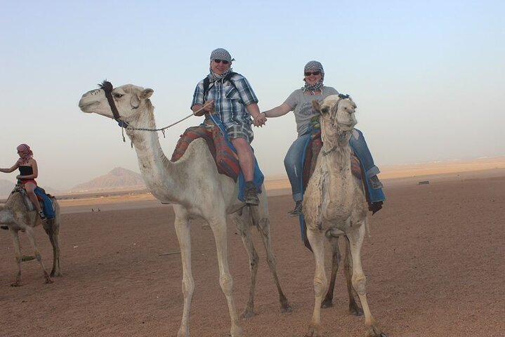 5-hour safari with quad biking & dinner at the Bedouin Hurghada - Image 4