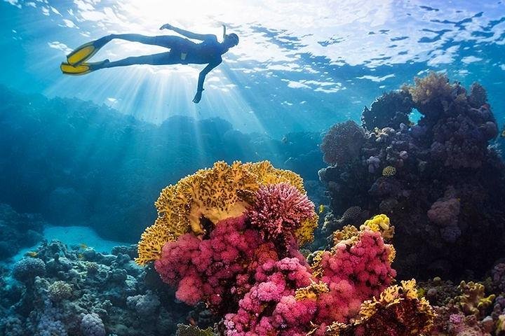 Charming Giftun Island in Hurghada - Image 1