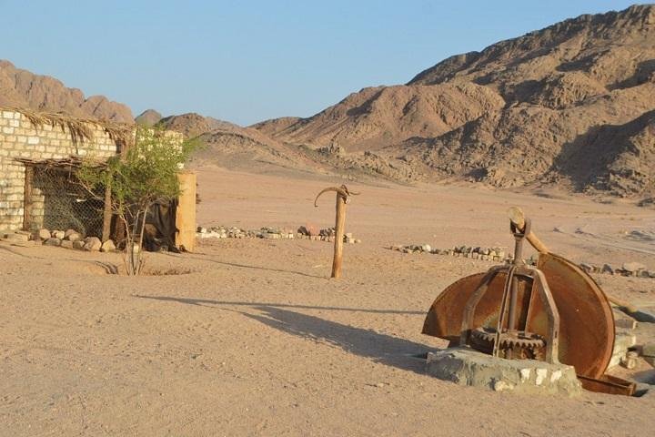 Desert & Sunset Safari with Bedouin Experience - Image 4