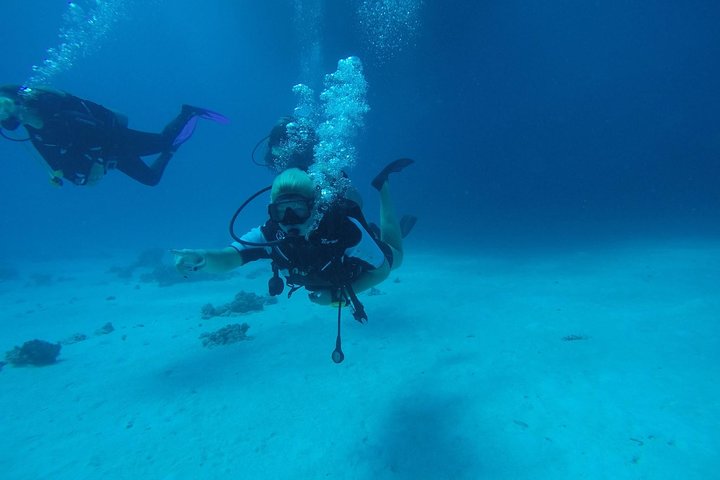 Diving in Hurghada - Image 4